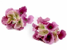 Květy hortenzie - růžovofialková