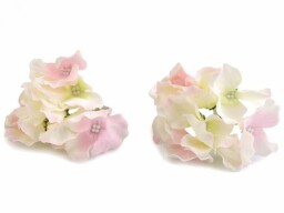 Květ hortenzie - světle růžová