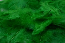 Peří - zelená (40ks)