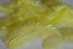 Žluté peří 5-11 cm (40 ks)