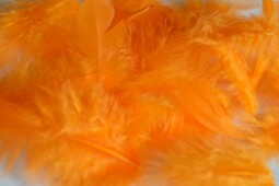 Oranžové peří 5-11 cm (40 ks)