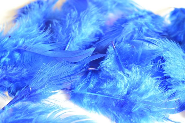 Peří - královská modrá 5-11 cm (40 ks)